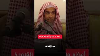 video pic